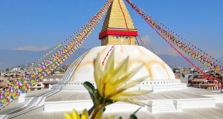 Bouddhanath Stupa with yellow flowers in the foreground.