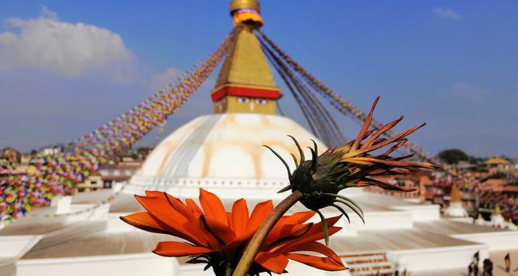 Bouddhanath Stupa with orange flowers in the foreground.