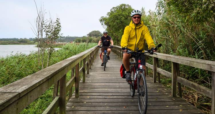 Des cyclistes vêtus de vestes lumineuses circulent le long d'une promenade en bois bordée de roseaux et d'une lagune.