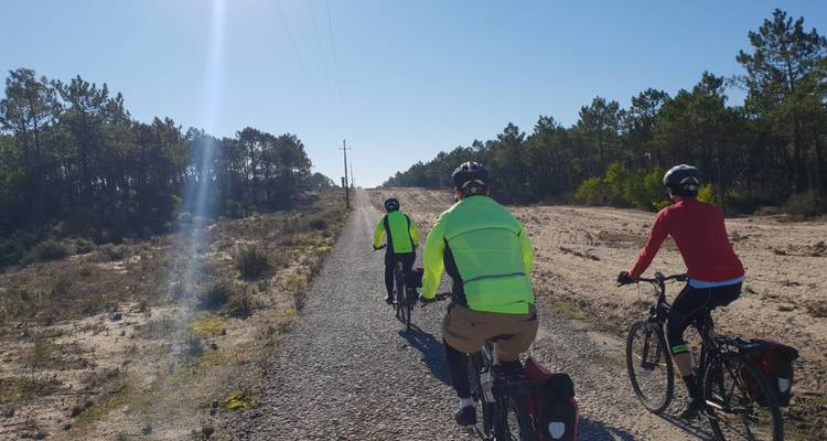 Circuit à vélo sur la Côte d'Argent de l'Atlantique - Côte Ouest et Sintra - Top Bike tours Portugal 1