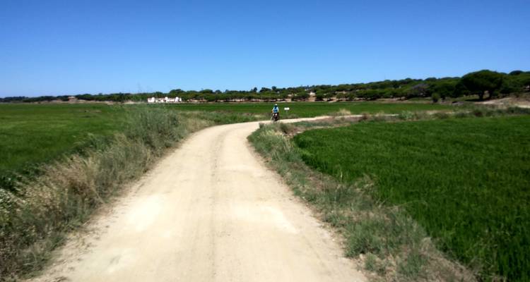 Circuit à vélo dans la région du Vicentin et de l'Algarve - autoguidé - Top Bike tours Portugal 3