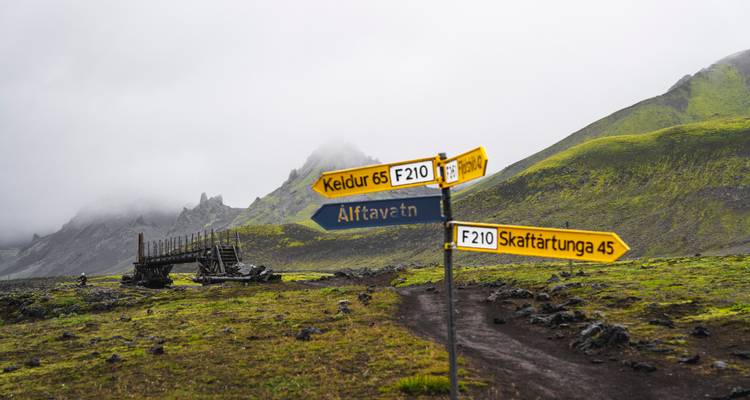 Señales amarillas de sendero que apuntan hacia destinos remotos islandeses se alzan en un paisaje volcánico brumoso de musgo y lava.