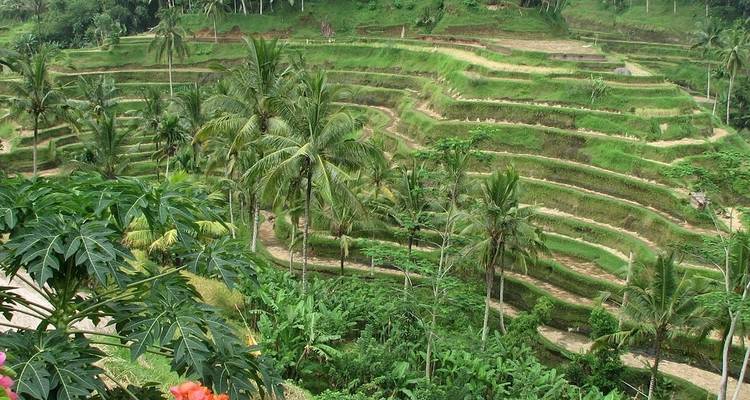 5 jours de visite de Bali et de sports nautiques - Diwira Wisata Indonesia 3