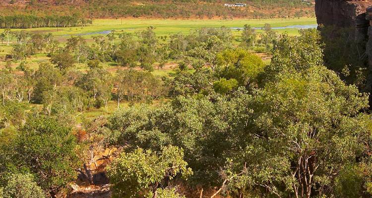 Weids uitzicht over weelderige overstromingsvlakten en wetlands omlijst door rotsachtige hellingen.
