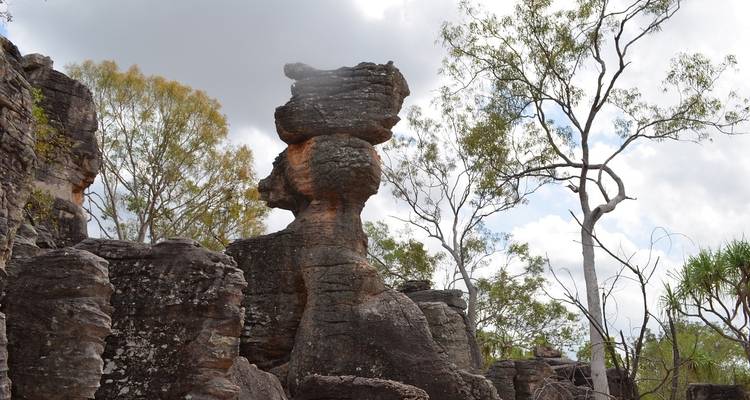 Rock formations with trees under a cloudy sky.