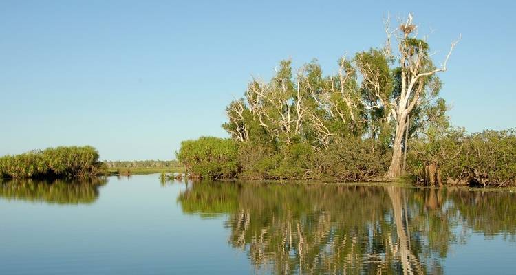 Calm water with green trees and clear sky.