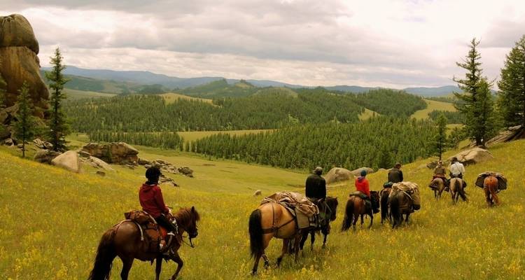 Parc national de Khustai 2D 1N - Trip De Nomadic 3