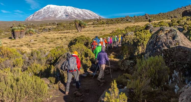Wanderer auf einem Pfad mit dem Kilimandscharo im Hintergrund.