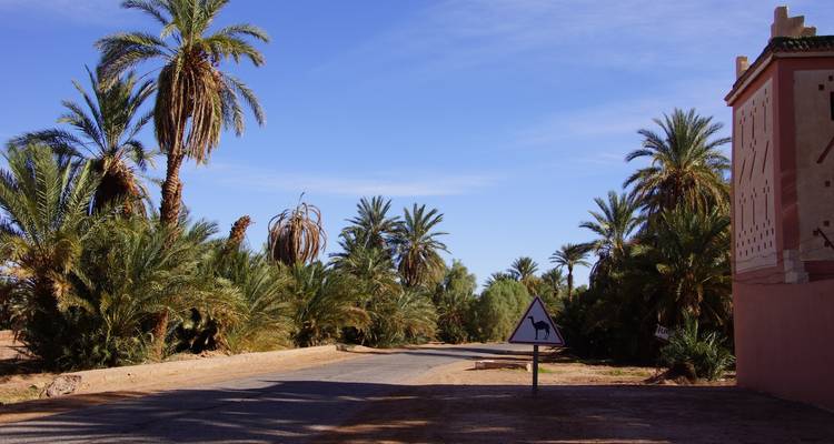 Circuit privé de 6 jours au Maroc : De Casablanca à Marrakech, à la découverte de Chefchaouen, de Fès et du Sahara - Cultural Morocco Tours 1