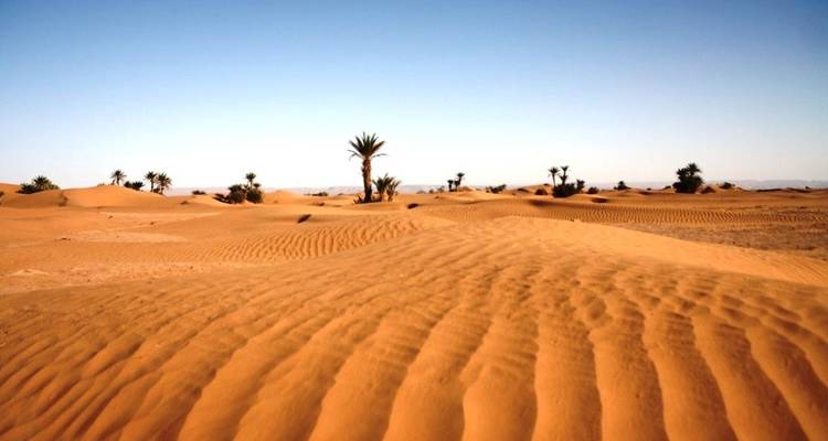 Circuit privé de 6 jours au Maroc : De Casablanca à Marrakech, à la découverte de Chefchaouen, de Fès et du Sahara - Cultural Morocco Tours 3
