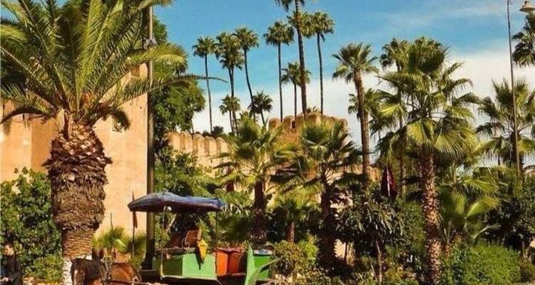 Circuit privé de 6 jours au Maroc : De Casablanca à Marrakech, à la découverte de Chefchaouen, de Fès et du Sahara - Cultural Morocco Tours 2