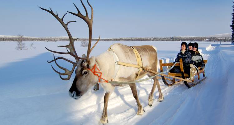 Reindeer pulling a sled with two people through a snowy landscape.