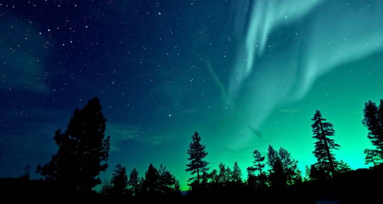 Northern lights over a forest silhouetted against a starry sky.