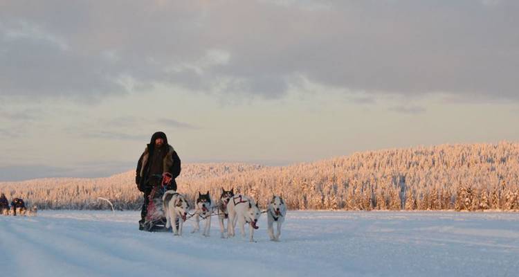 Descubrimiento de las tierras salvajes de Finlandia - 5 días - On The Go Tours 9