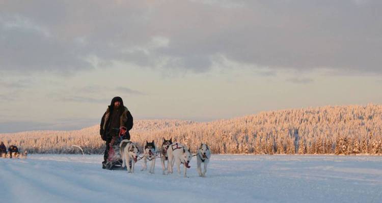 Descubrimiento de las tierras salvajes de Finlandia - 5 días - On The Go Tours 2
