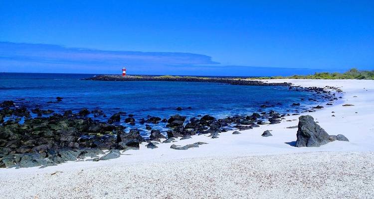 Galápagos - Islas Centrales y Orientales a bordo del Reina Silvia Voyager - G Adventures 10