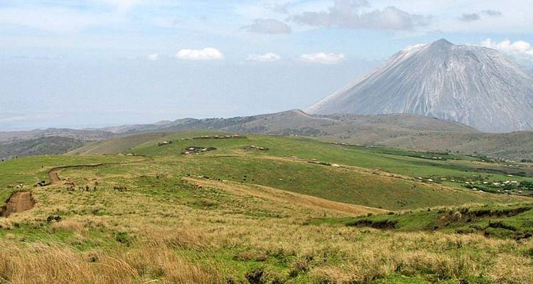 Extensa pradera con un pico montañoso distante.