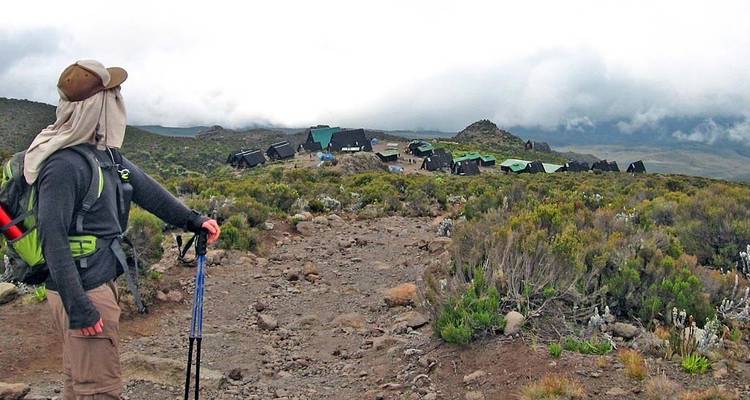 Excursión de 6 días al Kilimanjaro por la ruta Machame - Serengeti African Tours 10