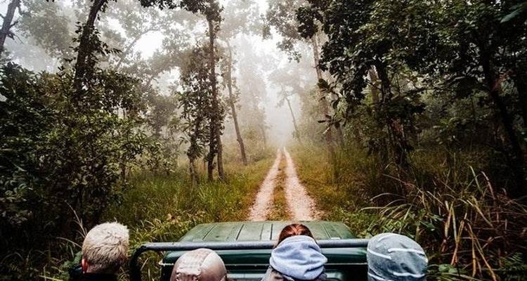 3 Day Chitwan Jungle exploration Tour from Pokhara - Liberty Holidays 4