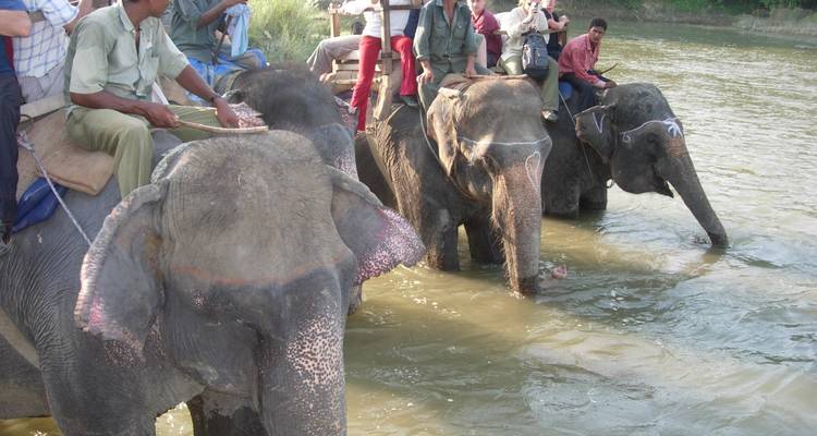 3 Day Chitwan Jungle exploration Tour from Pokhara - Liberty Holidays 9