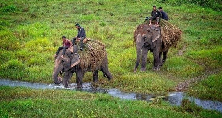3 Day Chitwan Jungle exploration Tour from Pokhara - Liberty Holidays 3