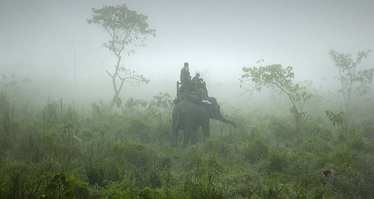 3 Day Chitwan Jungle exploration Tour from Pokhara - Liberty Holidays 8