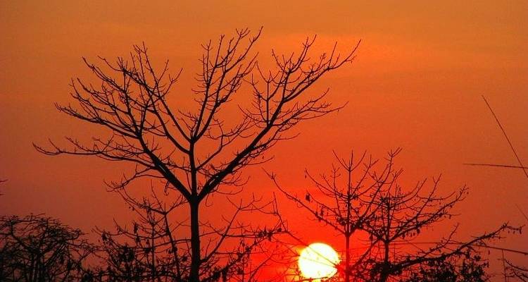 3 Day Chitwan Jungle exploration Tour from Pokhara - Liberty Holidays 5