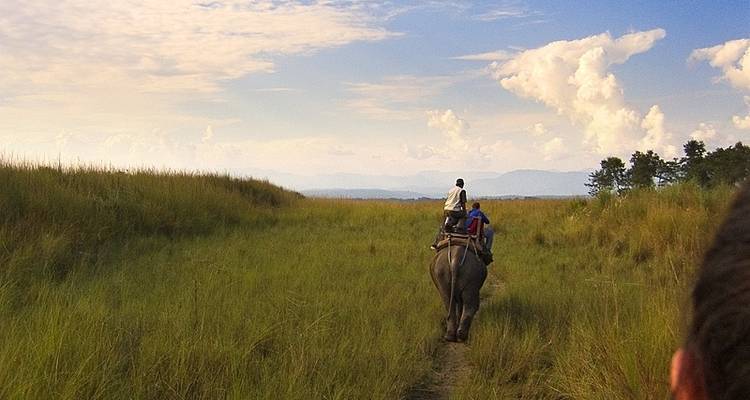 3 Day Chitwan Jungle exploration Tour from Pokhara - Liberty Holidays 7