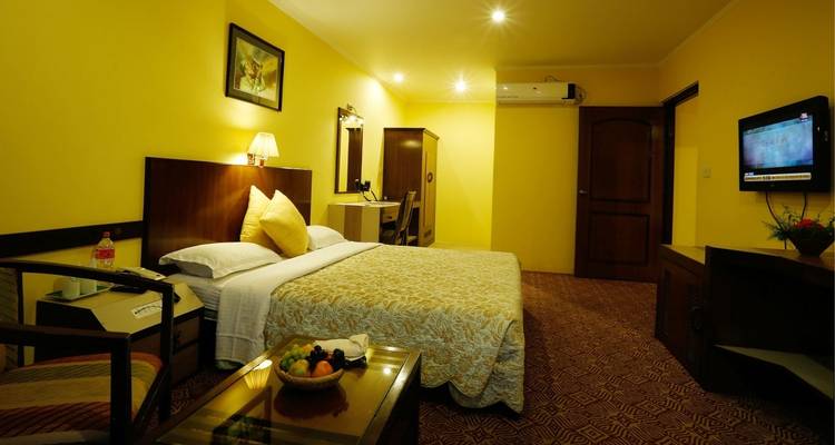 Intérieur de chambre d'hôtel avec une télévision et des équipements.