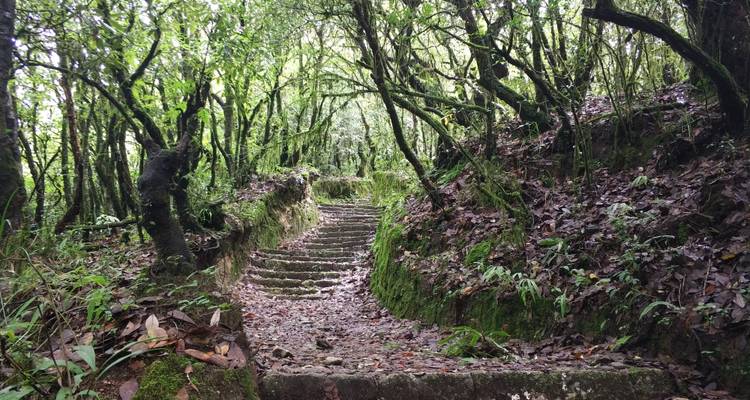 Dhampus Trek from Pokhara - Liberty Holidays 8
