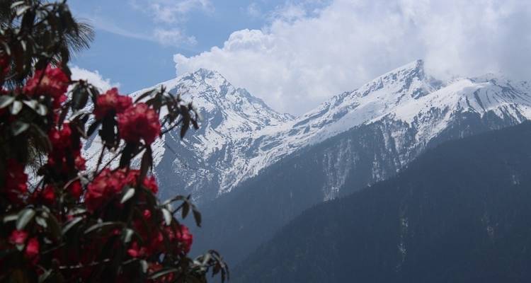 Dhampus Trek from Pokhara - Liberty Holidays 6