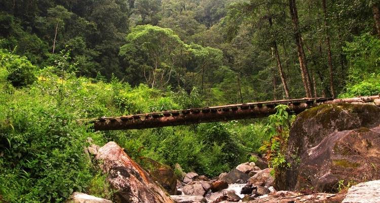 Voyage de 4 jours dans l'Annapurna, y compris le trek au village de Ghandruk - Liberty Holidays 7