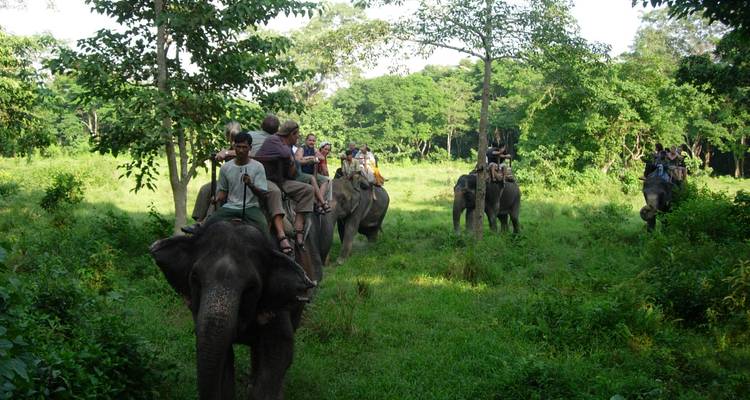 Natural wildlife 6 days vacation - Liberty Holidays 10