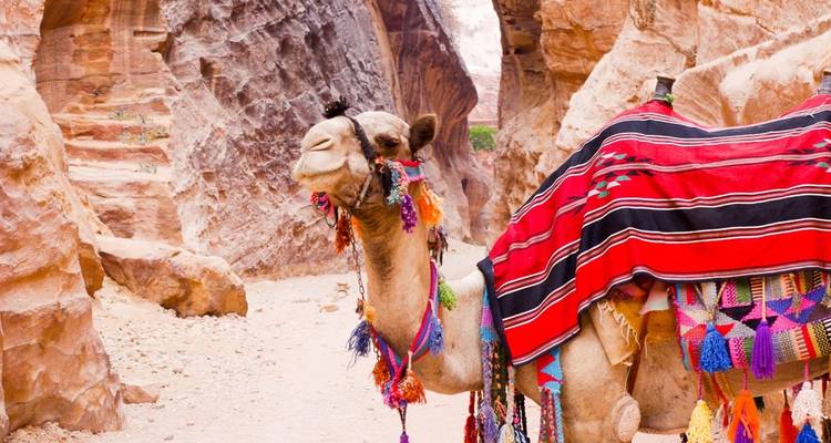 Circuit de luxe en Jordanie 7 jours - Trip500 7