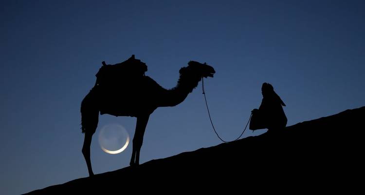 Circuit de luxe en Jordanie 7 jours - Trip500 3