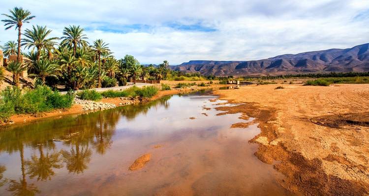 Río que fluye a través de un paisaje desértico con palmeras y colinas.