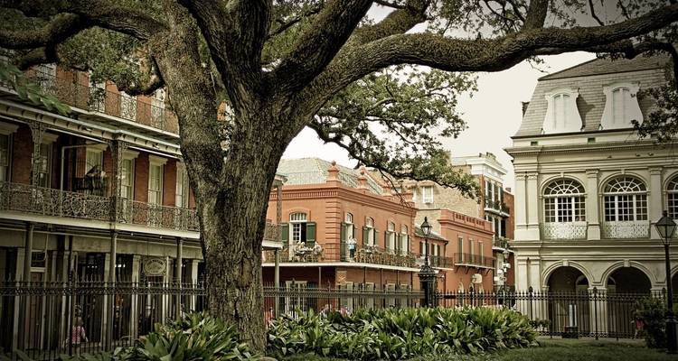 Fin de semana de solteros Pre-Mardi Gras en Nueva Orleans - Best Single Travel 8