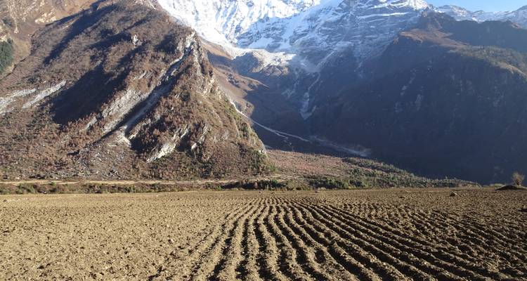 Champ labouré avec des montagnes en arrière-plan