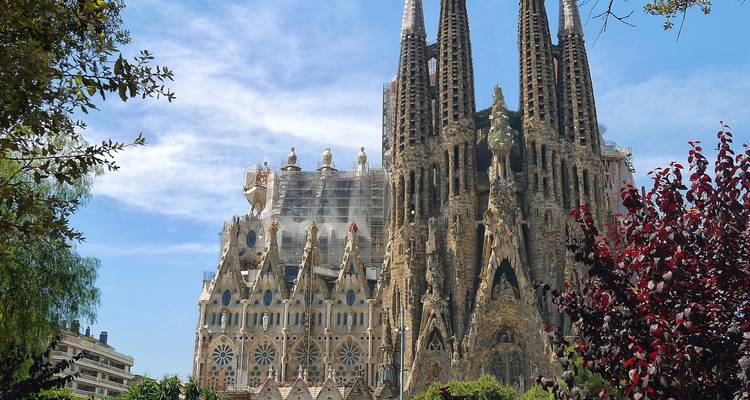 Sagrada Familia ragt über Bäume hinaus vor einem klaren blauen Himmel.