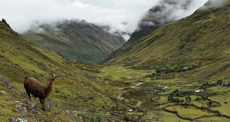 Lares Valley Trek - Unu Raymi Expeditions 7