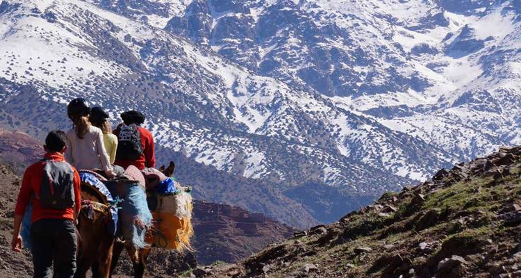 Menschen, die auf Kamelen reiten, mit schneebedeckten Bergen im Hintergrund.