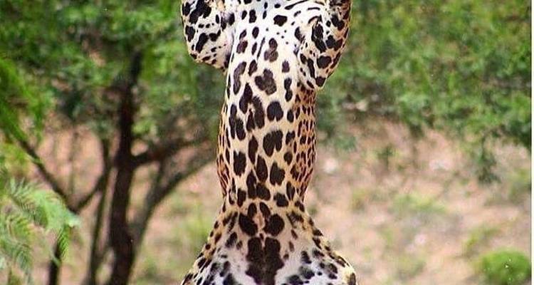 Day trip in Lake Manyara National Park - Africa Outland Safaris 8