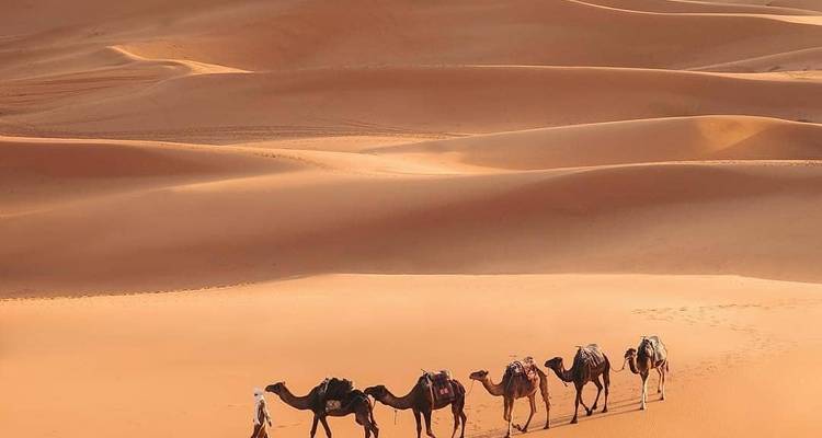 Excursion dans le désert de Marrakech à Fès - 3 jours - Morocco Tour Marrakech  3