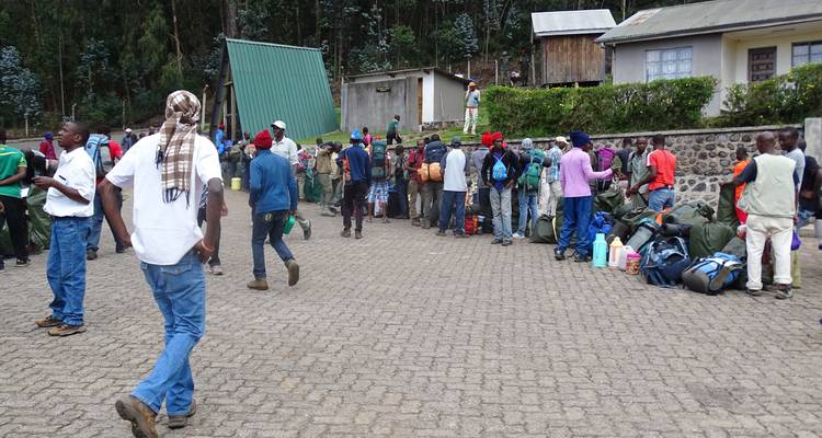 Machame's "Whiskey Route" Expedition-9 days, 8 nights - Betheli Expedition 2