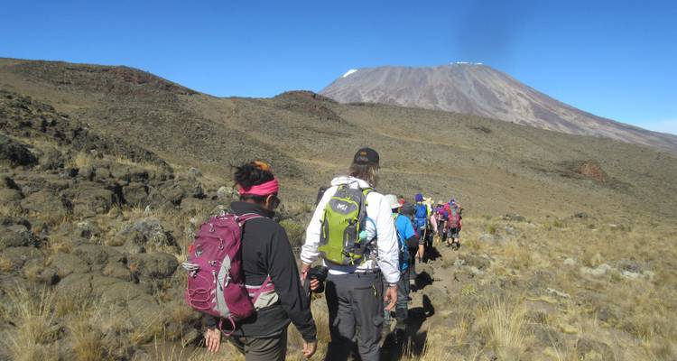 Machame's "Whiskey Route" Expedition-9 days, 8 nights - Betheli Expedition 8