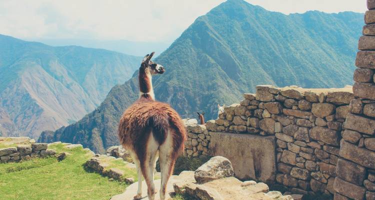 Circuito ciudad de Cusco, Valle sagrado y Machu Picchu - 3 días / 2 noches - Alpaca Expeditions 6