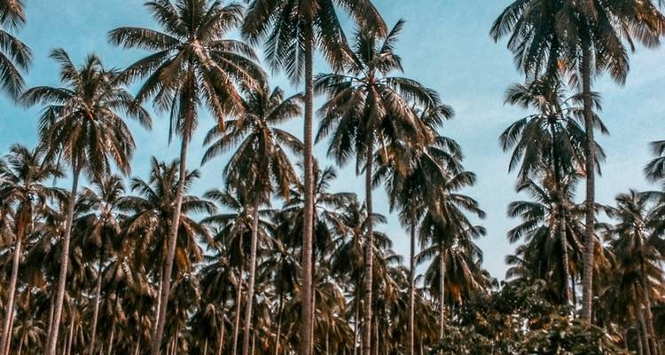Philippines les points forts - 9 jours - Intertrips 9