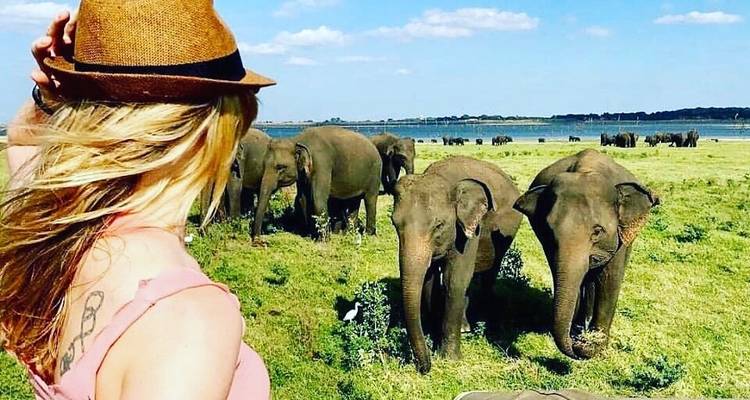 Vacances en famille au Sri Lanka - 10 jours avec chauffeur privé, véhicule et hébergement (H/B) - Lanka Safe Tours 3