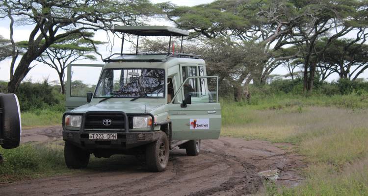 Tanzanian Traffic Jam:  10Days-The Great Migration - Betheli Expedition 1