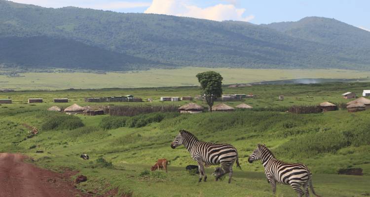Tanzanian Traffic Jam:  10Days-The Great Migration - Betheli Expedition 9